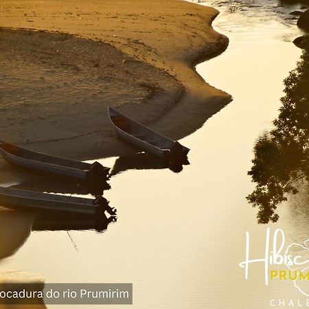 Hibiscus Prumirim Chales أوباتوبا المظهر الخارجي الصورة